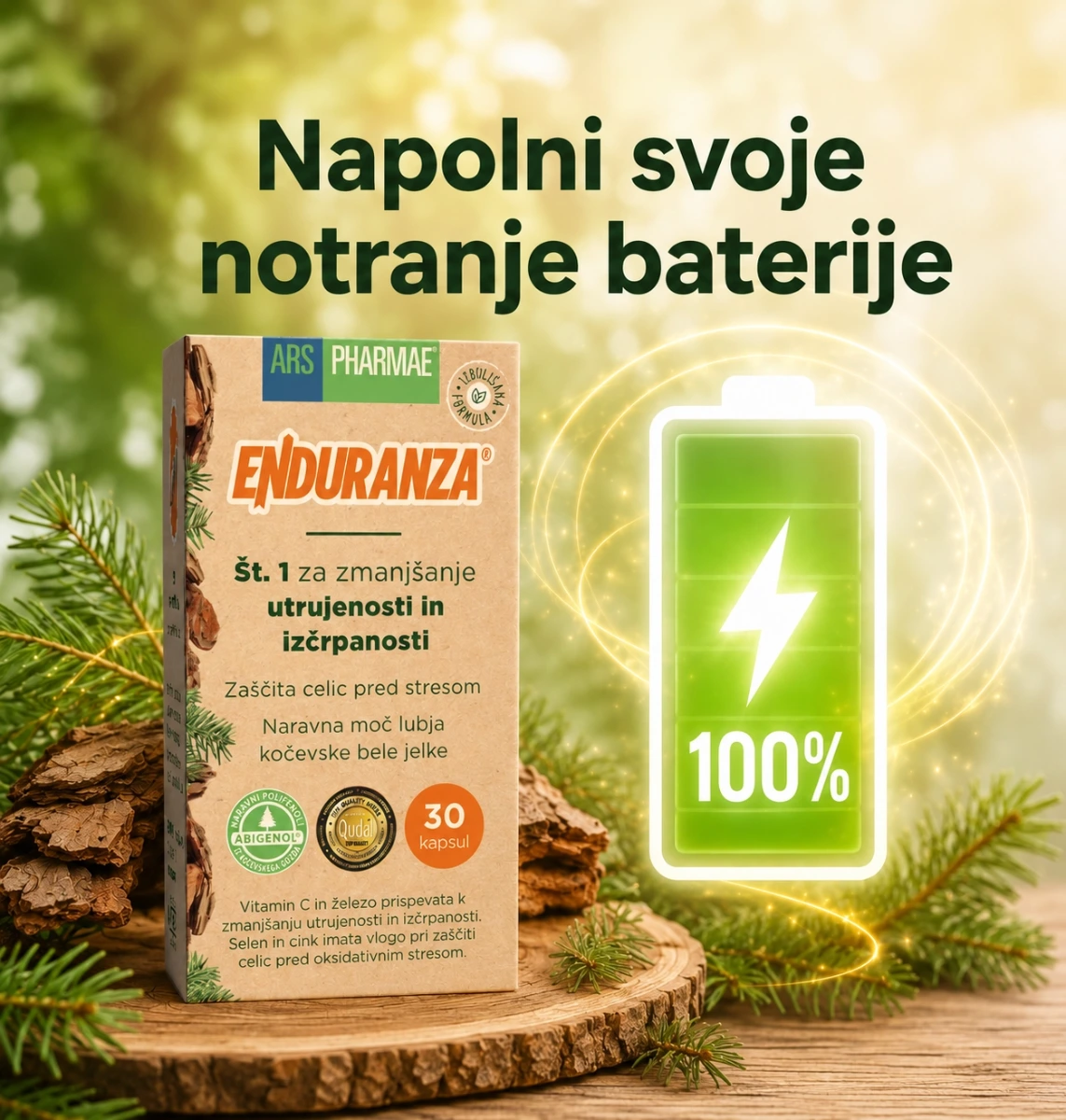 Enduranza pomaga polniti notranje baterije